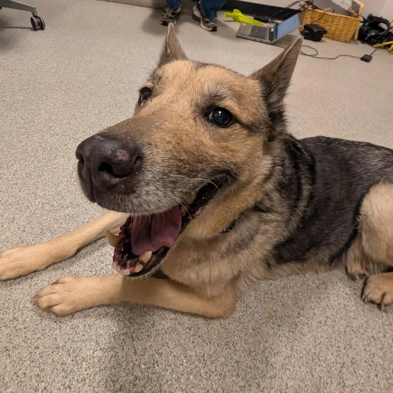 Kita
