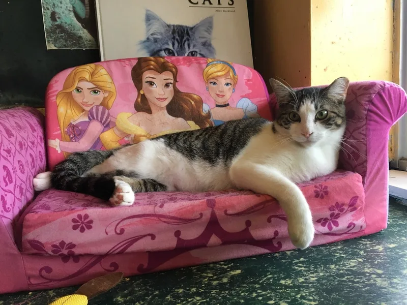 Habanero thumbnail 3