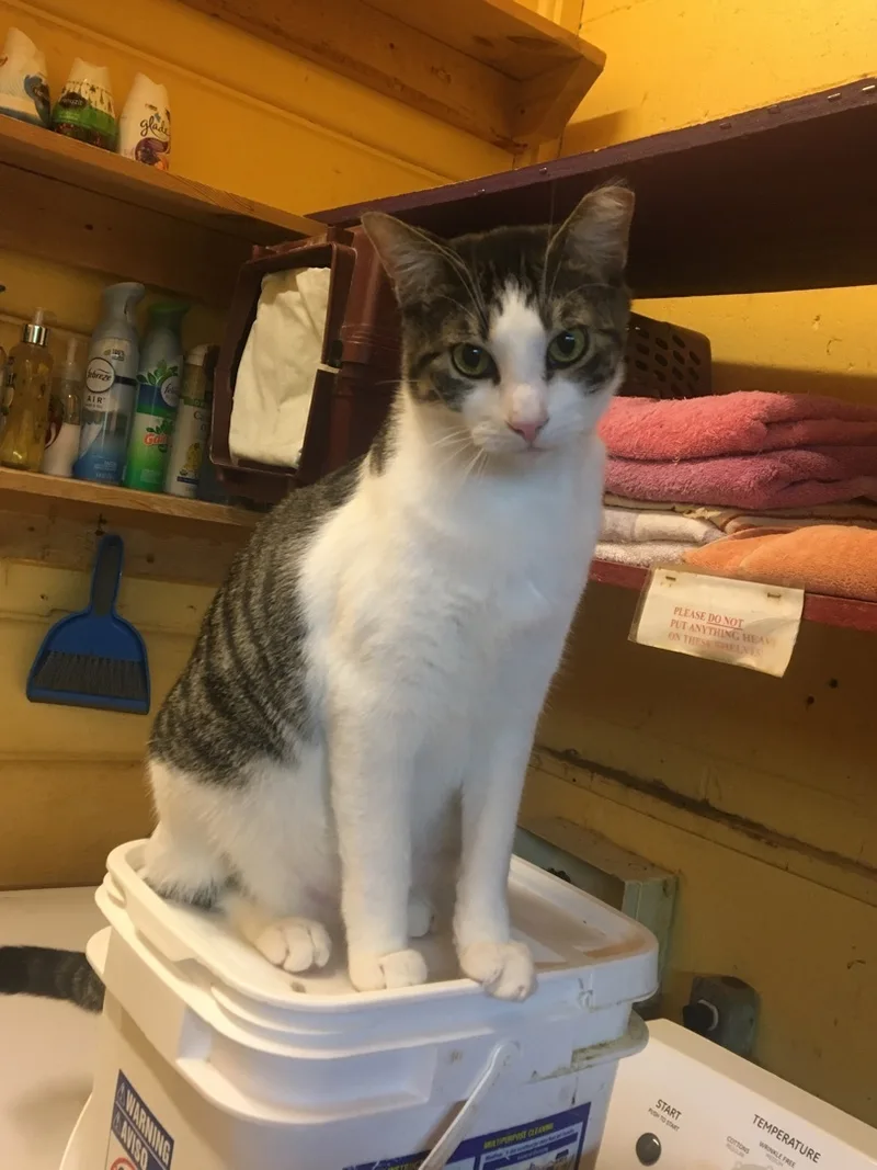 Habanero thumbnail 5