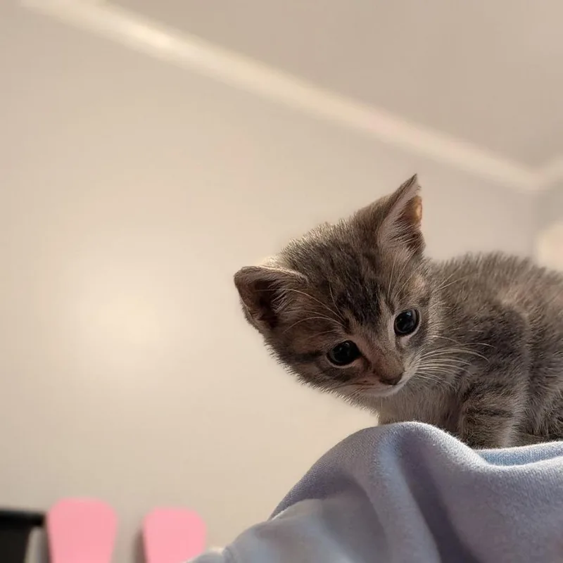 Gabby thumbnail 5