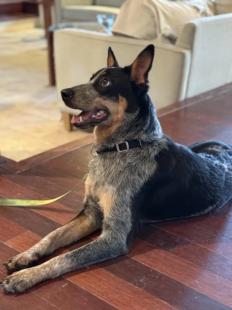 Jax