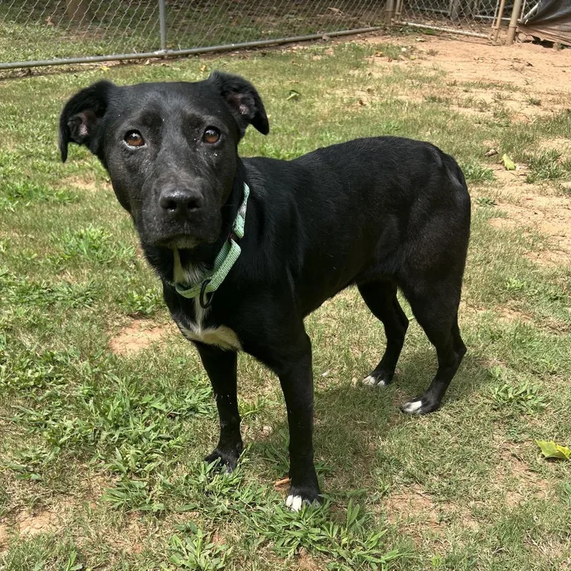 Zafrina thumbnail 4
