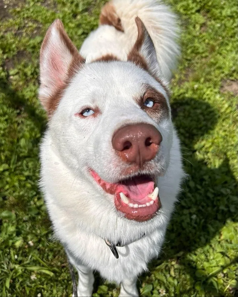 Atticus Tag thumbnail 2