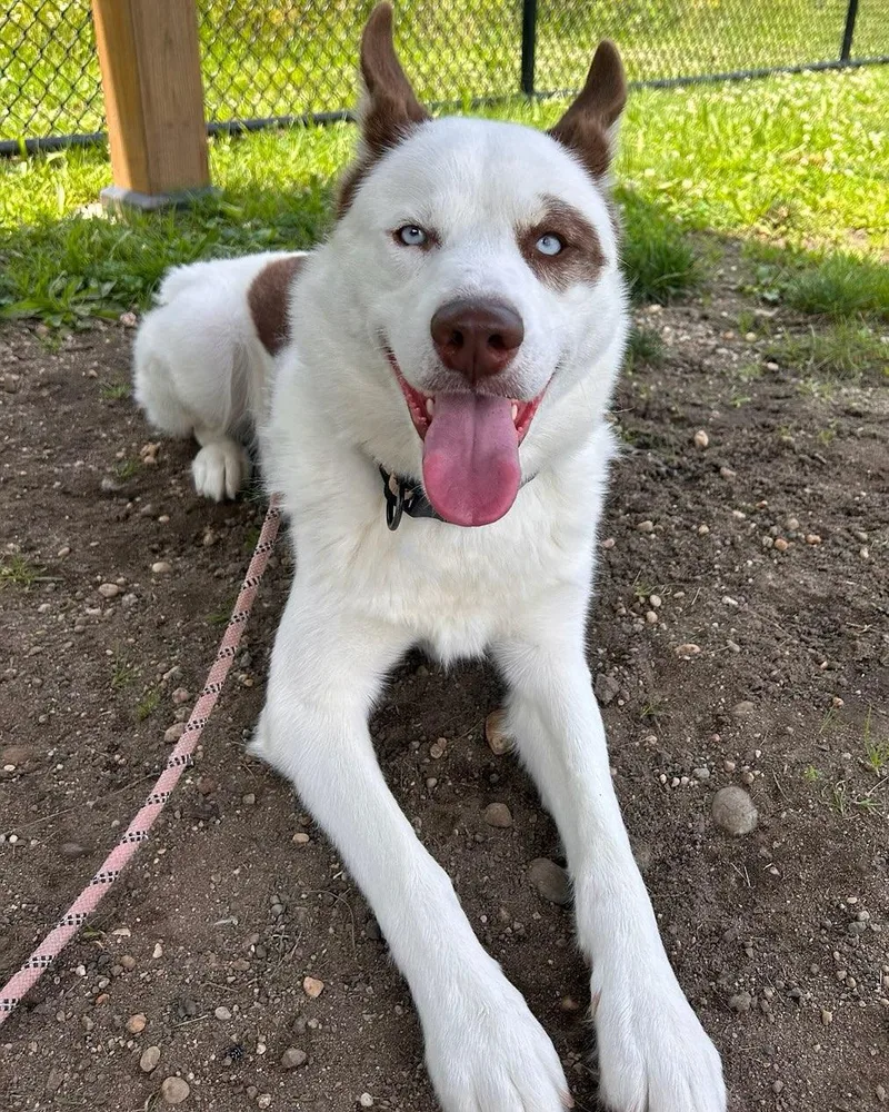 Atticus Tag thumbnail 3