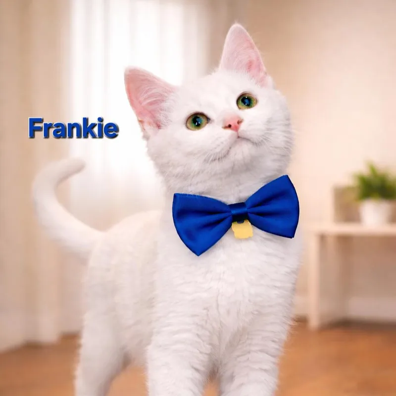Frankie