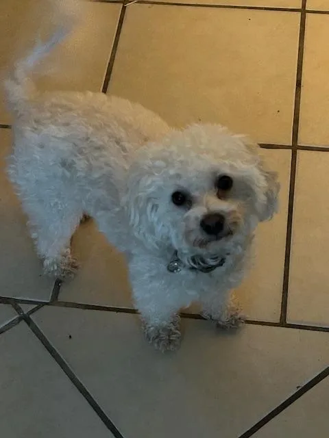 Charlie Brown thumbnail 2