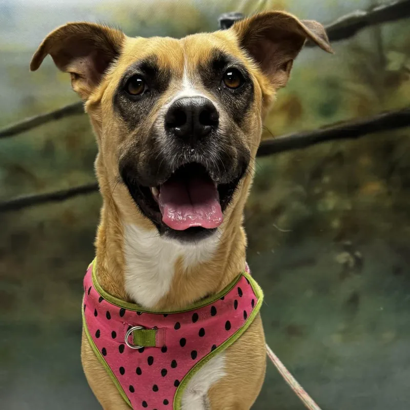 Ellie