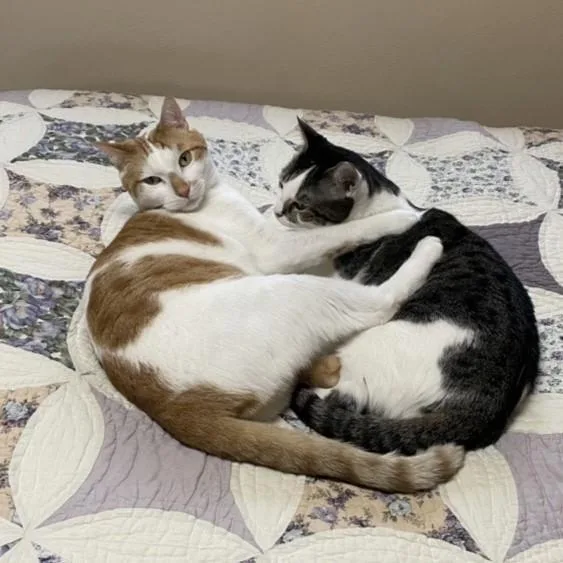 Rusty And Rosie