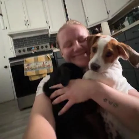 Koda thumbnail 6