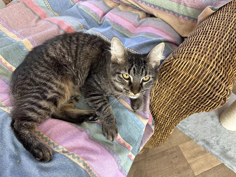 Natalie C Ingram thumbnail 2