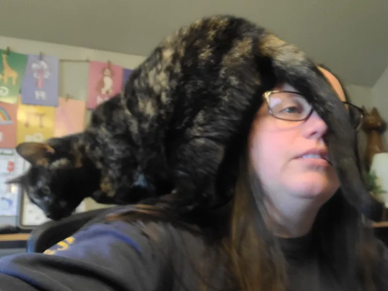 Ember Feluk+ >>the Purrfect thumbnail 3