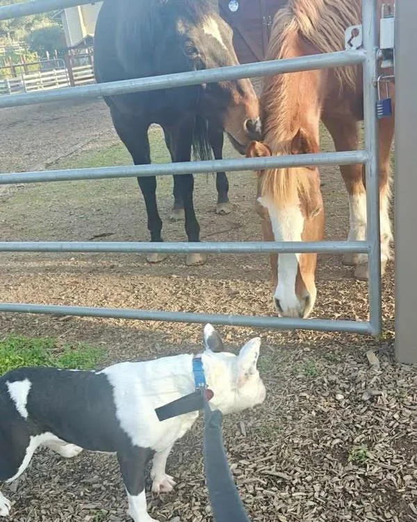 Sir Theodore James Iii thumbnail 2