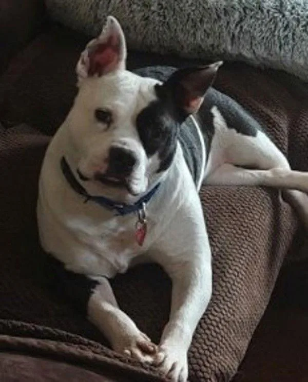 Sir Theodore James Iii thumbnail 3