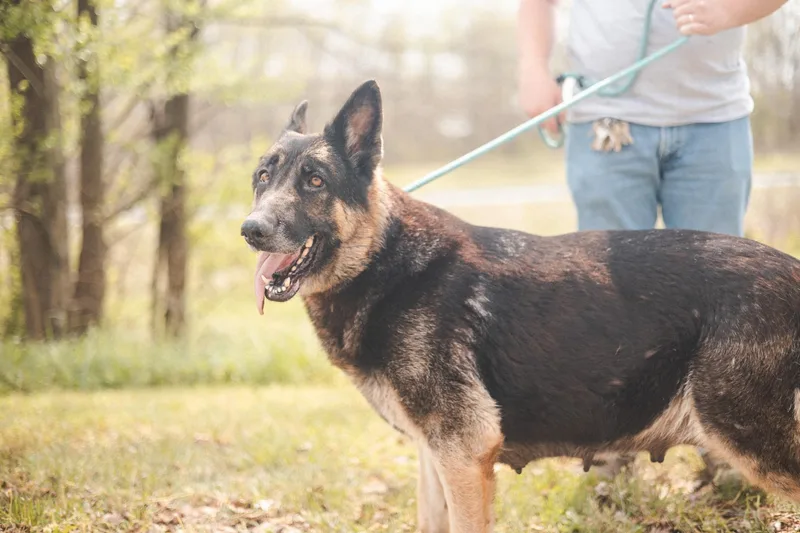 Echotransport thumbnail 4