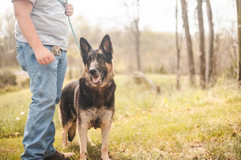 Echotransport thumbnail 5