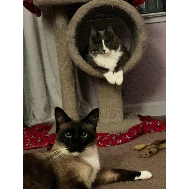 Liam & Tunky thumbnail 5