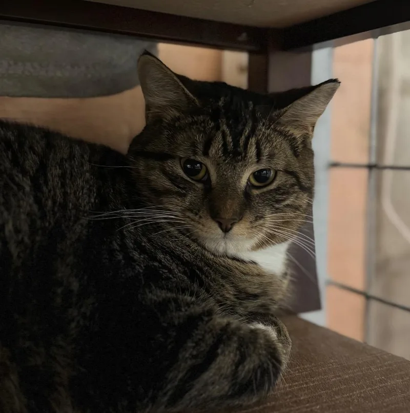 Tina