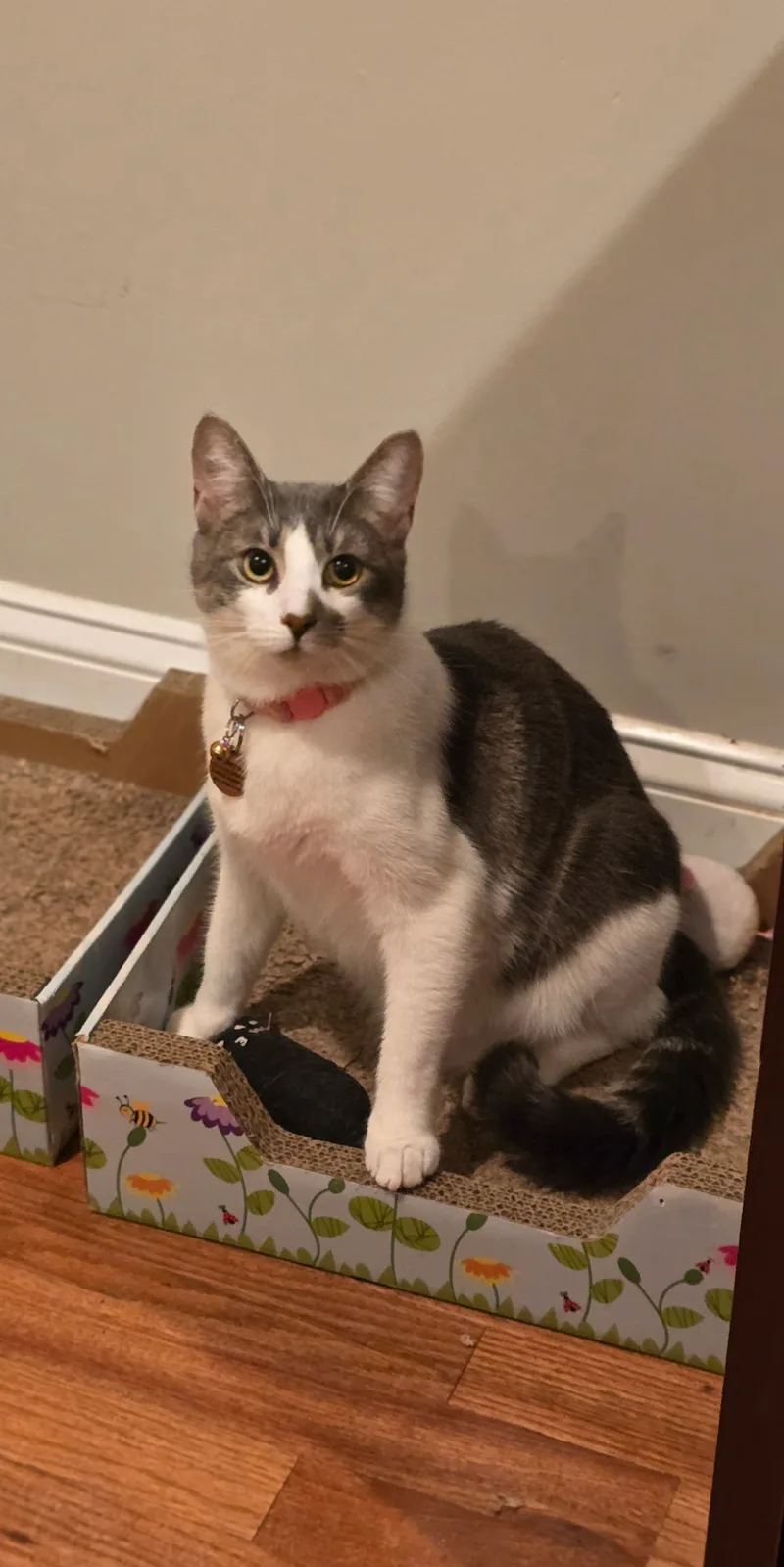 Valentina thumbnail 2