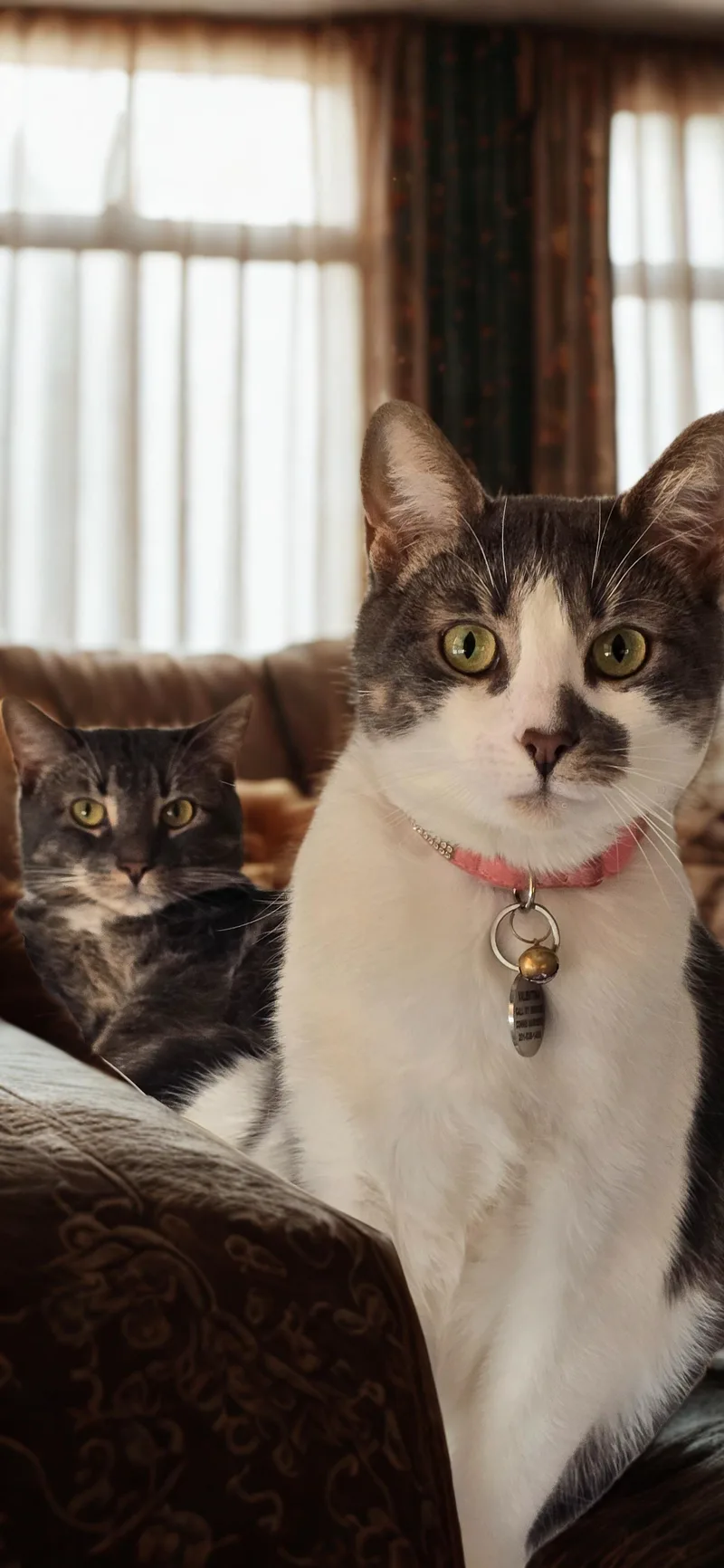 Valentina thumbnail 3