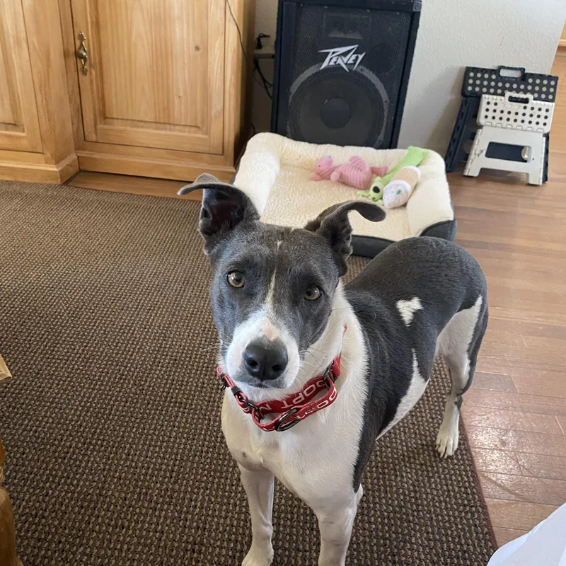 Maggie thumbnail 3