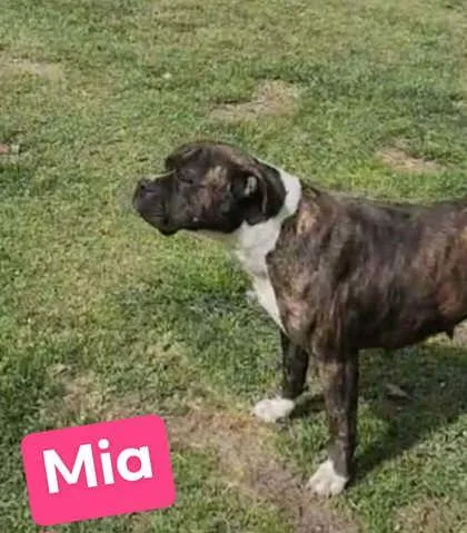 Mia