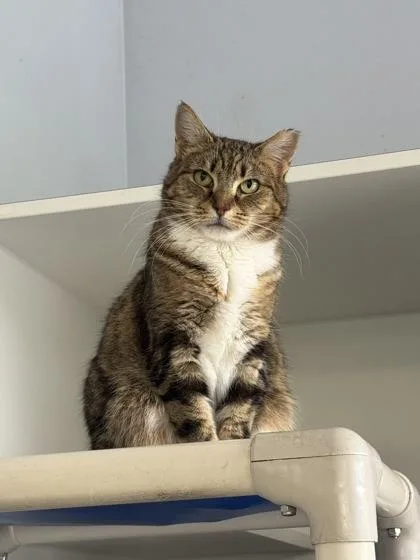 Gabriela thumbnail 3