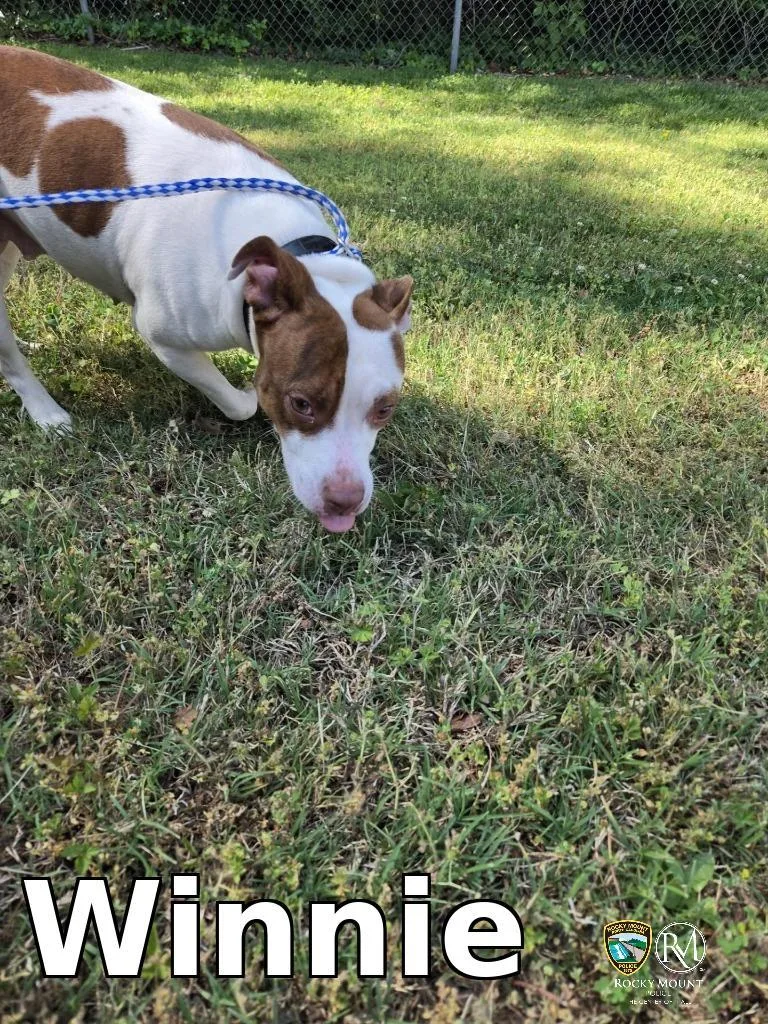 Winnie
