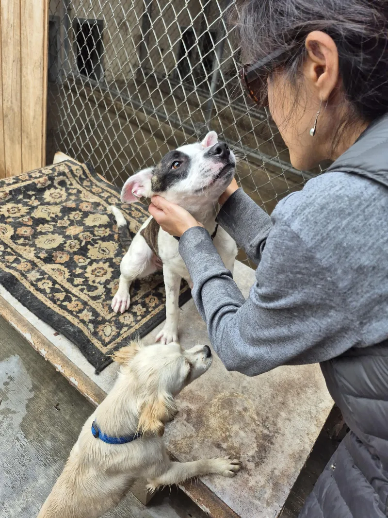 Dottie Dot Girl! thumbnail 2