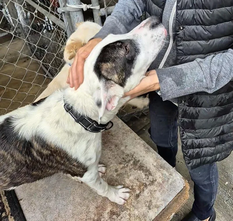 Dottie Dot Girl! thumbnail 3