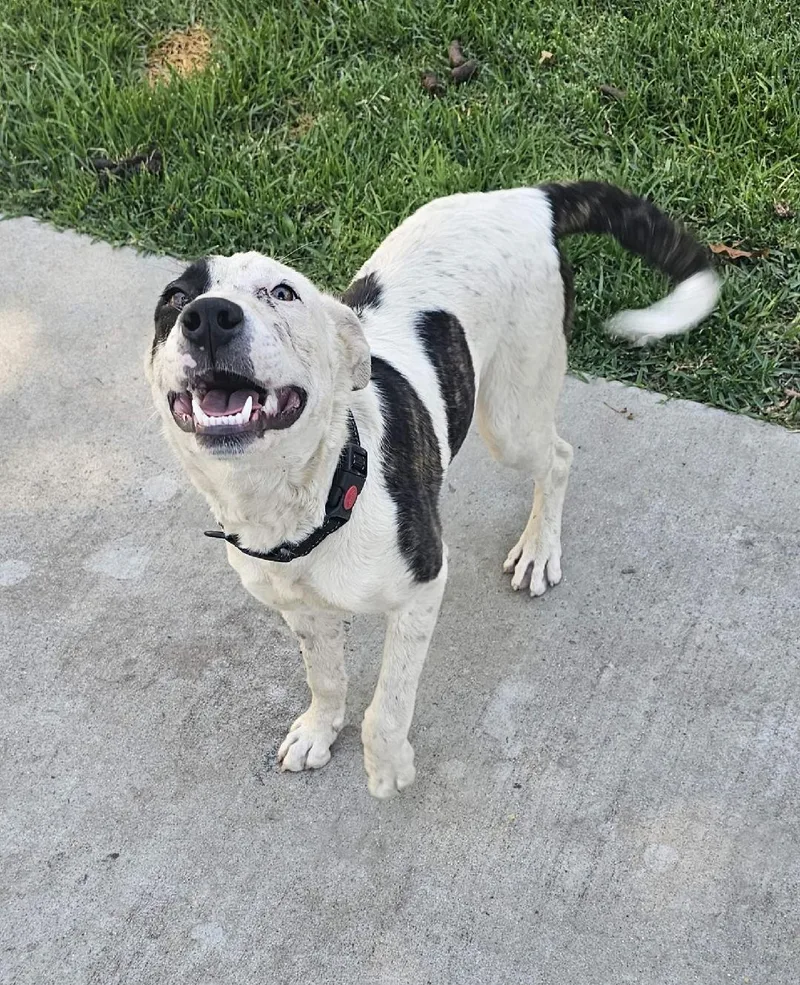 Dottie Dot Girl! thumbnail 5