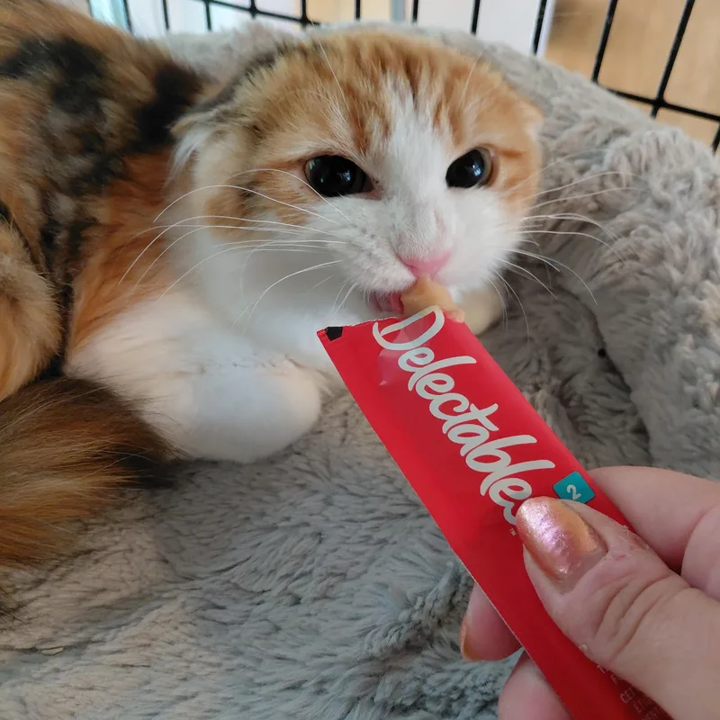 Wynnie thumbnail 2