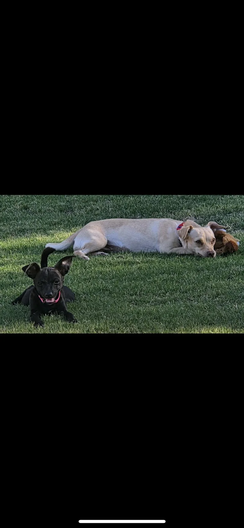 Maisey thumbnail 2