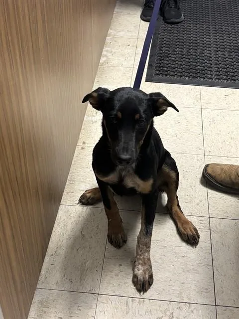 Glory