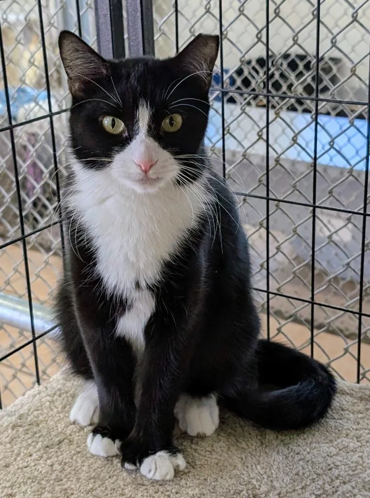 Mama Snow White thumbnail 2