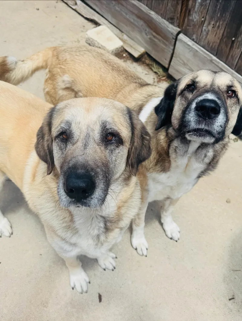 Dawn & Rae thumbnail 2