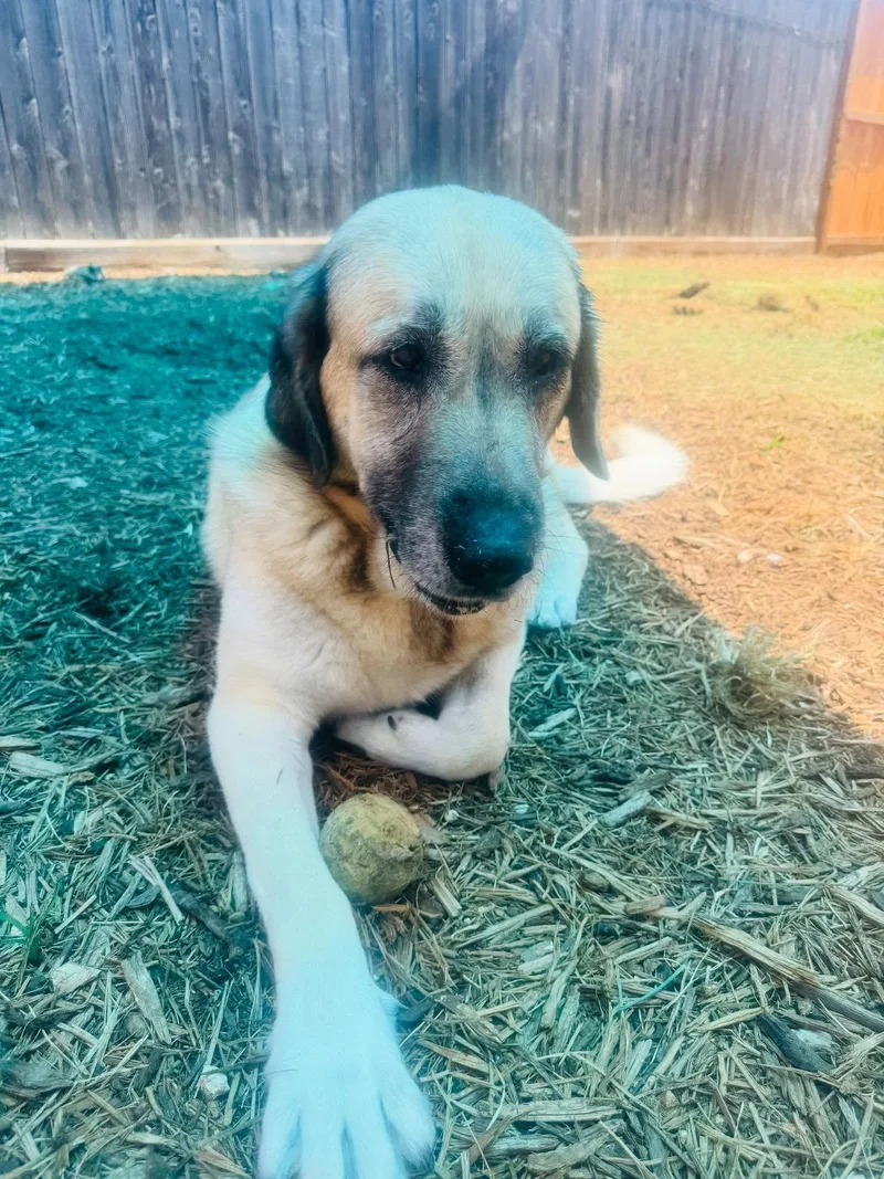 Dawn & Rae thumbnail 3