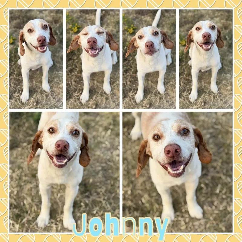 Johnny