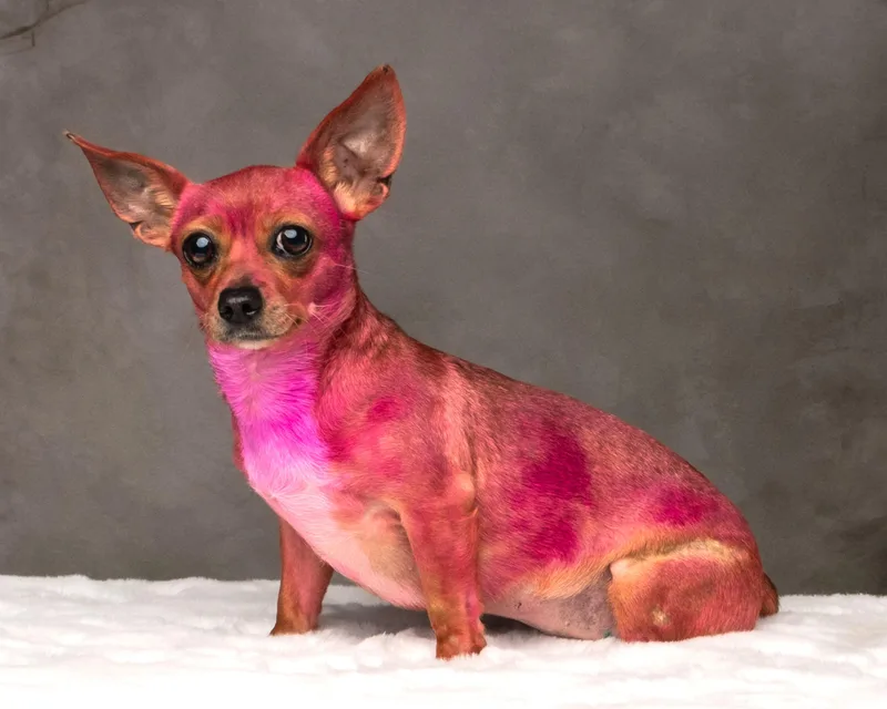 Rosarita Pinky thumbnail 2