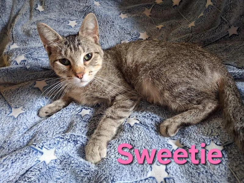 Sweetie