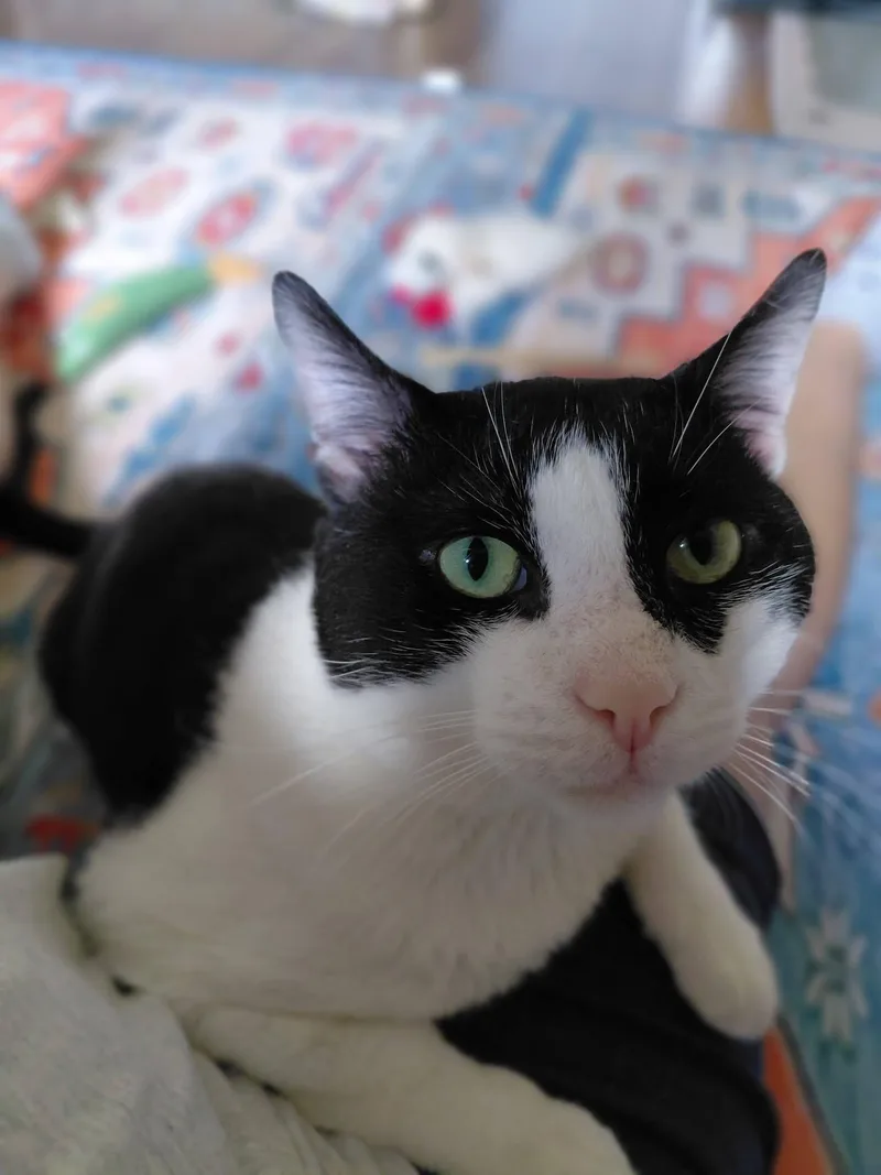 Moon Moon aka Moonie