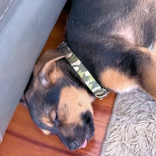 Tree Bud thumbnail 3