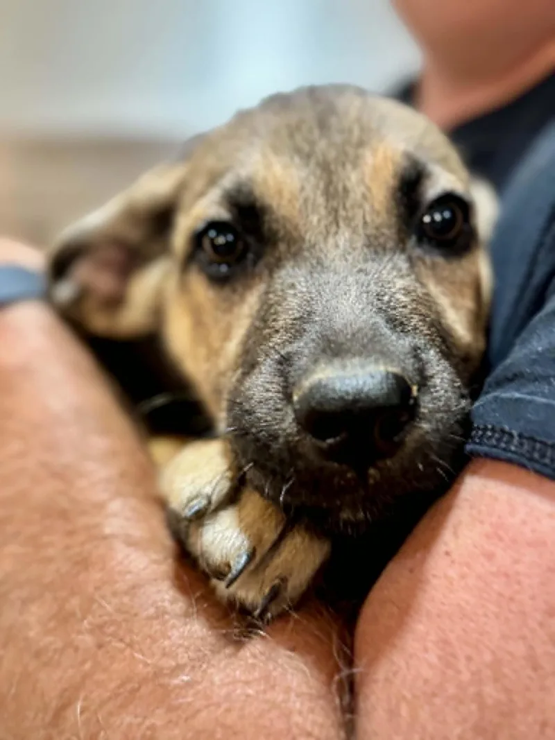 Mia