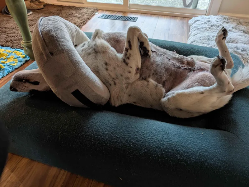 Peppermint Patty thumbnail 3