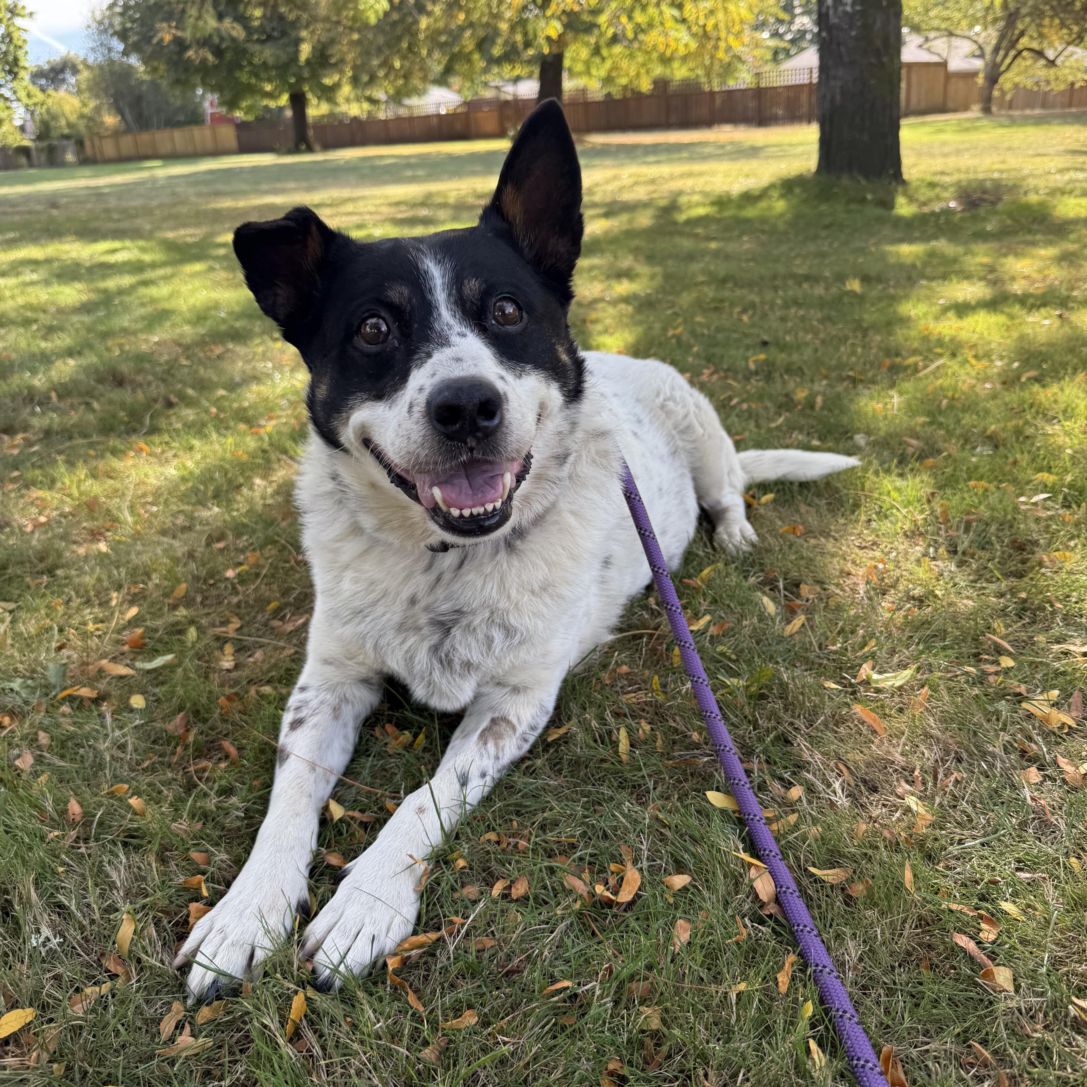 Peppermint Patty thumbnail 6