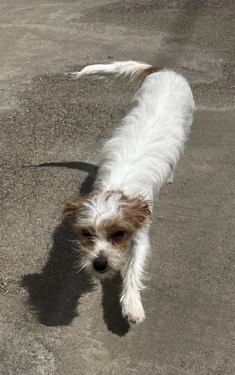 Winnie
