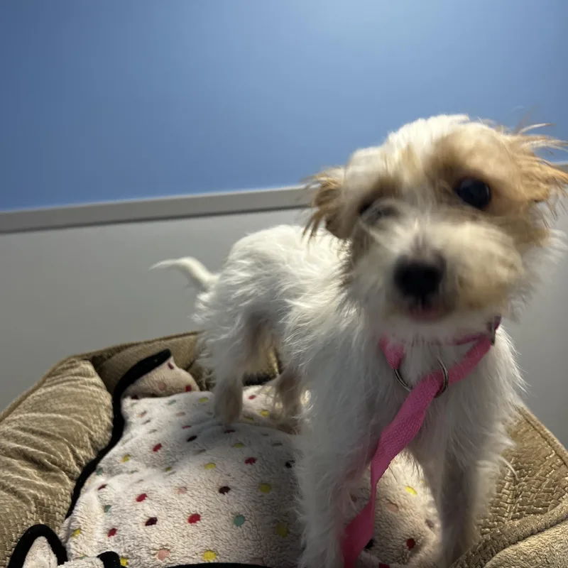 Winnie thumbnail 3