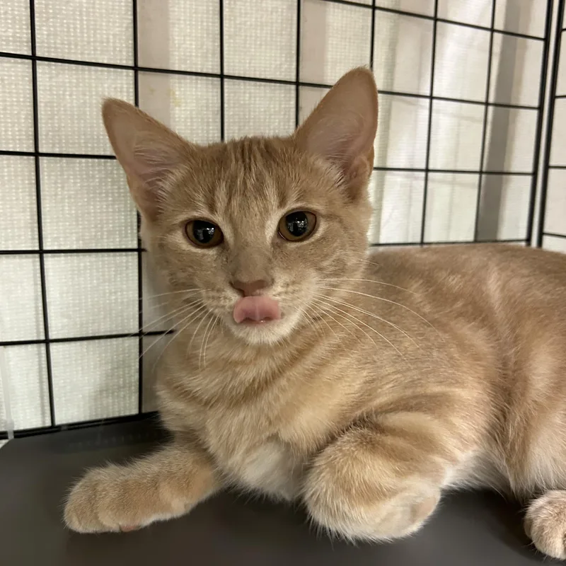 Water Color thumbnail 2