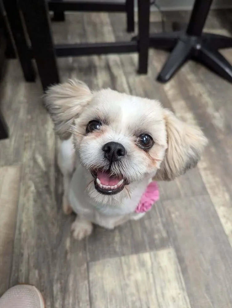 Bella thumbnail 3