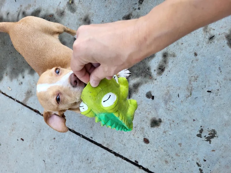 Cinnabon!! thumbnail 2