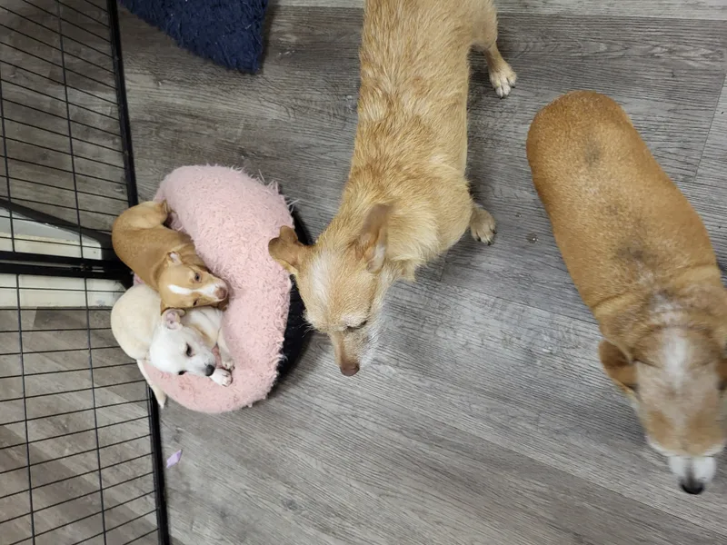 Cinnabon!! thumbnail 4